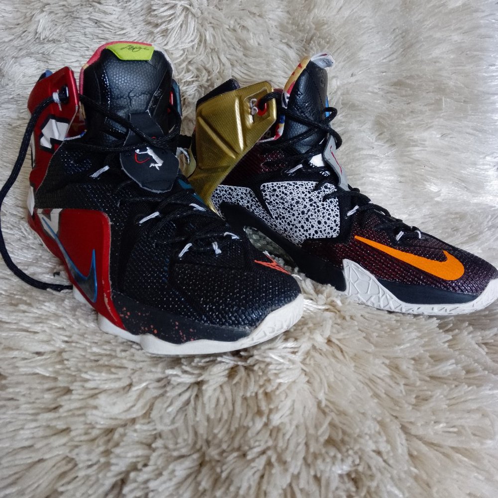 Nike Lebron James 12 SE, Men 11 US, Multicolor.